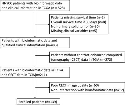 Frontiers Development And Validation Of A Cect Based Radiomics Model For Predicting Il B